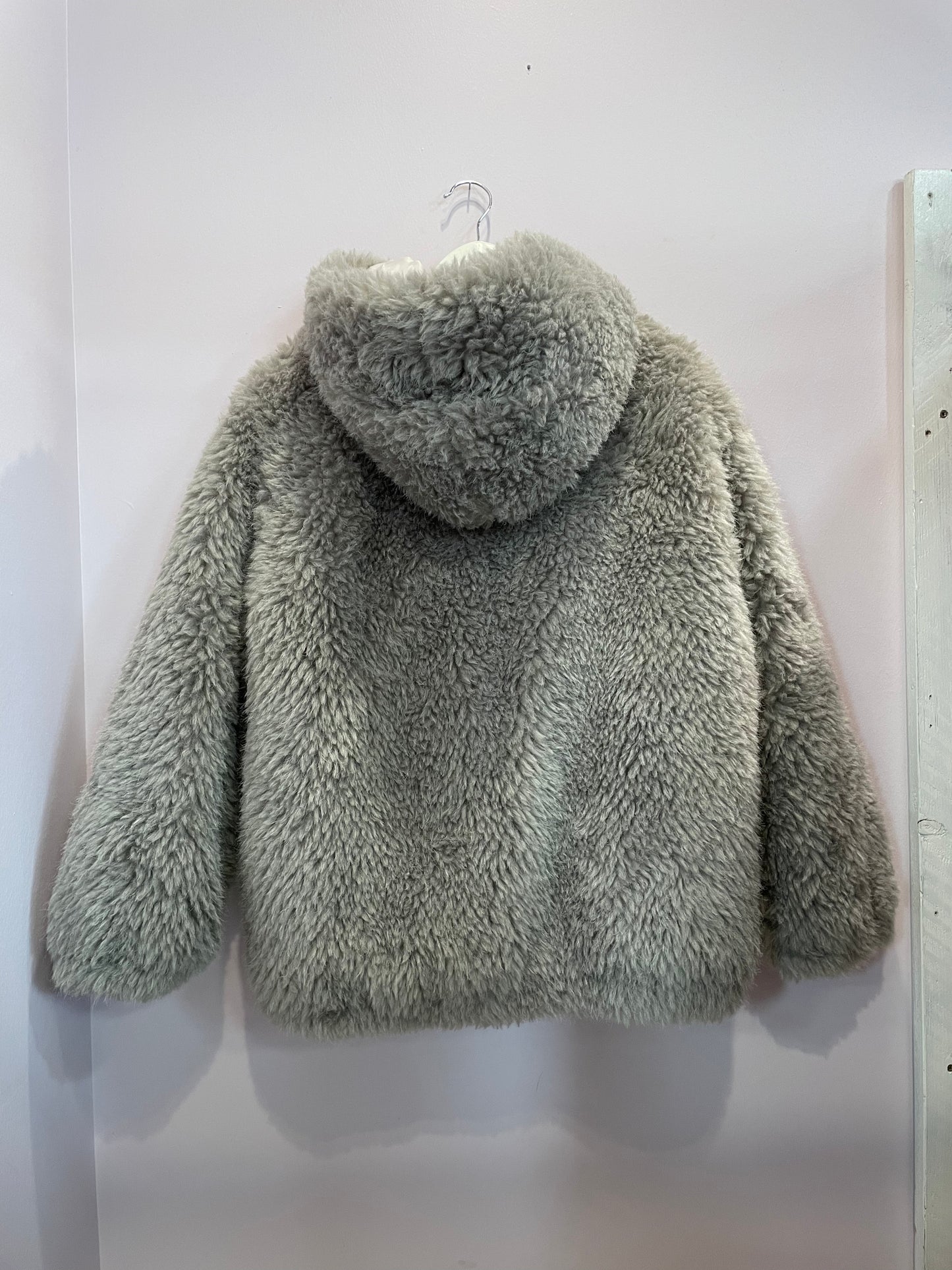 Pelliccia Teddy Eleh